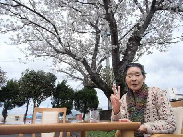 そらまめ風景