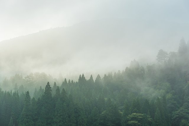 そらまめ・どんだん そらまめ・どんだん