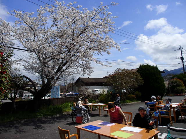 桜下昼食
